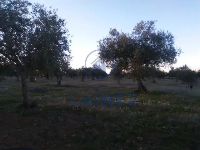 Terreni e lotti in vendita a Valsequillo, imagen 2