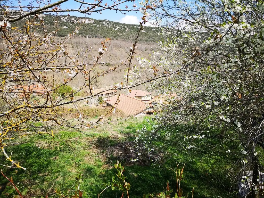 Maison avec jardin à vendre à AYLANES, imagen 11