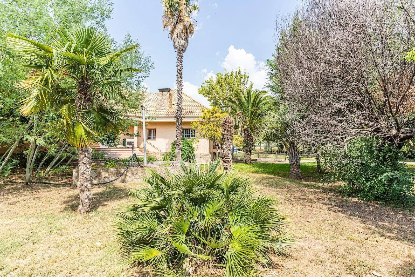 Jardín de Casa o chalet en venta en Fuente El Saz de Jarama con Aire acondicionado, Calefacción y Piscina