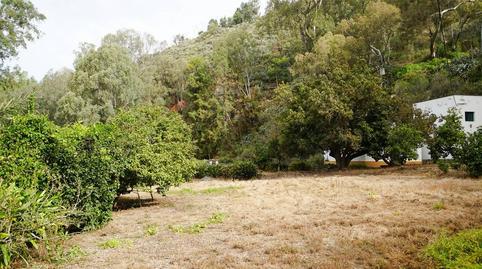 Photo 4 of Country house for sale in  Lomo del Hornillo, San José del Álamo - El Hornillo, Teror