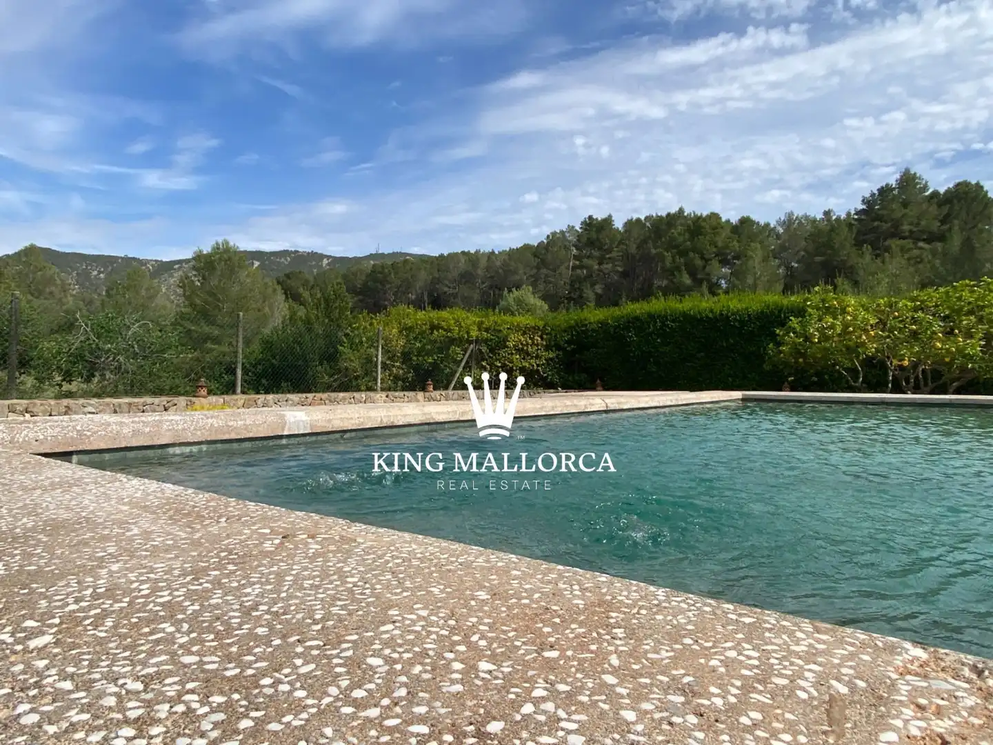 Piscina de Casa o chalet en venta en Calvià con Aire acondicionado, Calefacción y Jardín privado