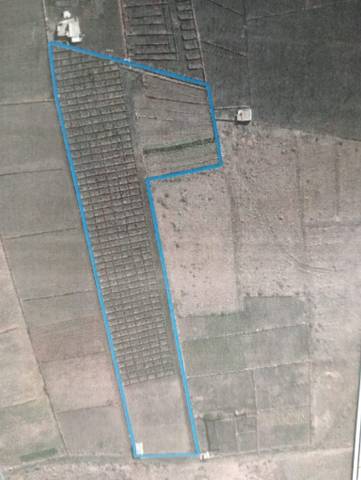 Terreno en Venta en Montaña Blanca