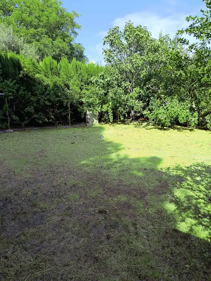 Jardí de Casa o xalet en venda en Zuera amb Jardí privat i Piscina comunitària