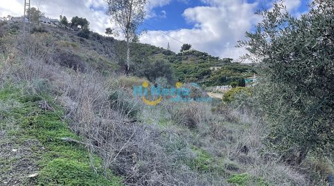 TERRENO PARA USO AGRARIO., immagine 3
