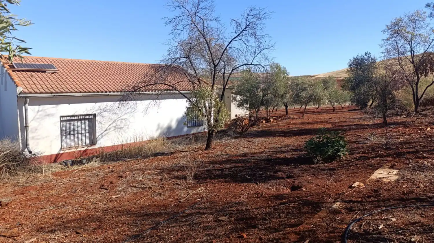 Casa rústica en venda a Valdepeñas, imagen 42