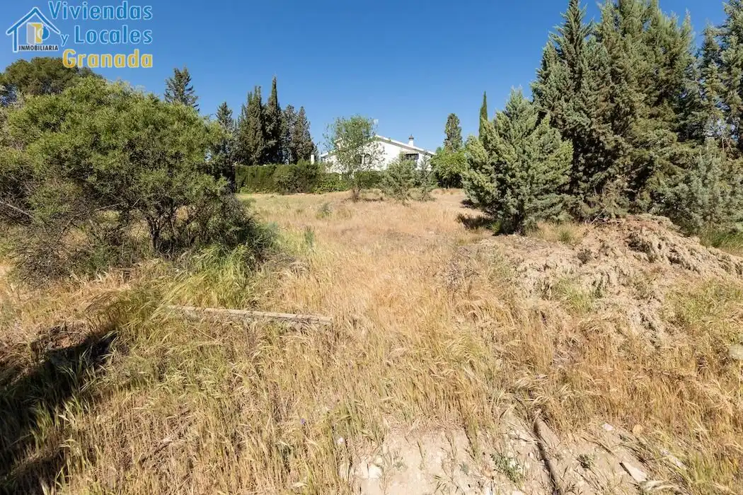 Terreni e lotti in vendita a Albolote, imagen 4