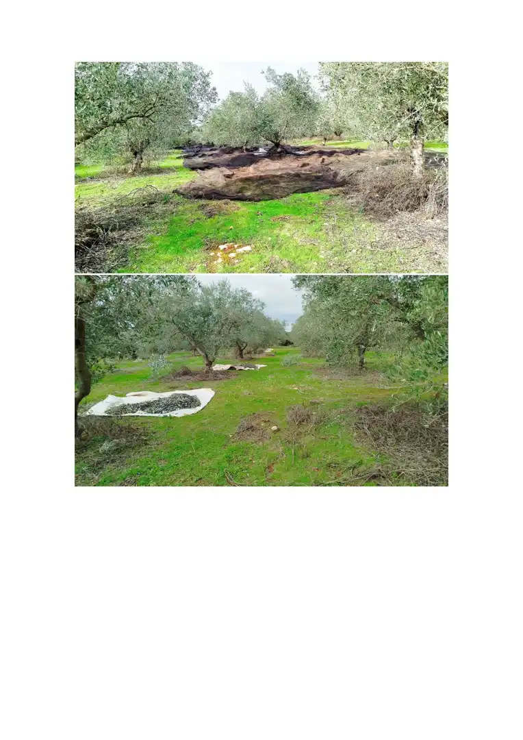 Terreno en venta en Hornachuelos