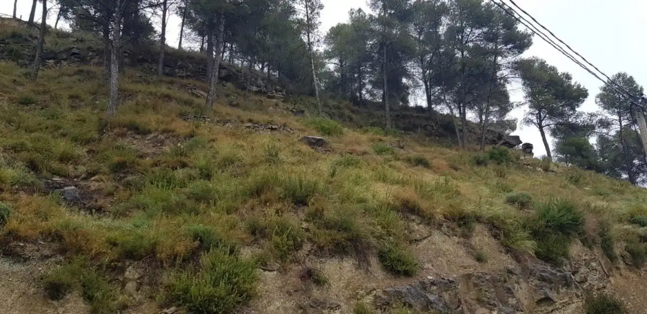 Residential land for sale in Penedès, imagen 12