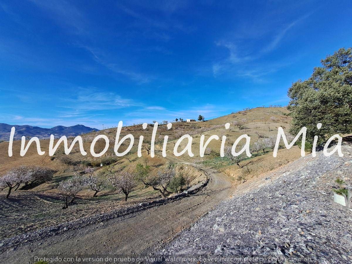 House or chalet for sale in Zarzalico