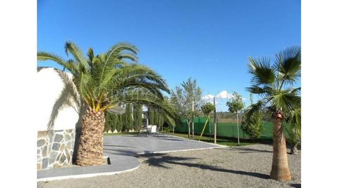 Photo 5 of Houses for sale in Sant Antoni de Portmany, Illes Balears