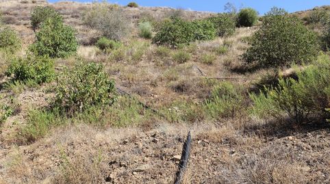 Foto 2 de Terreno en venta en Poligono 9, Cártama, Málaga