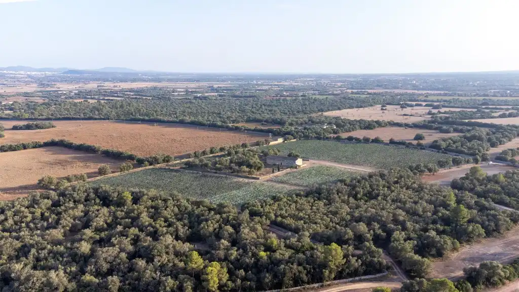 Casa rústica en venta en Vilafranca de Bonany