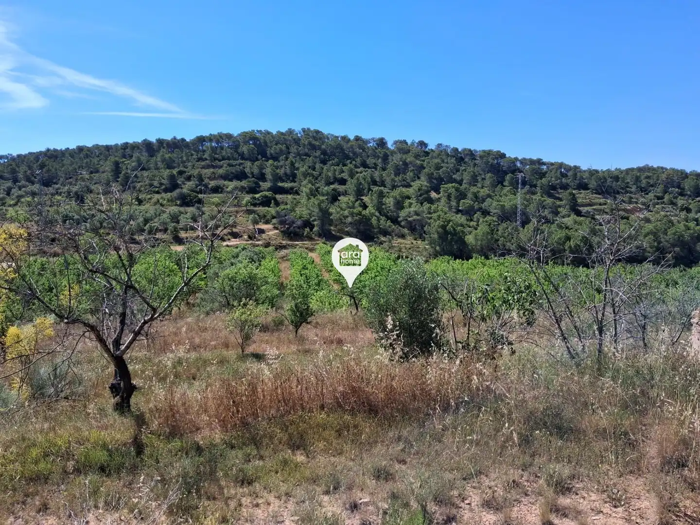 Land for sale in Madrid