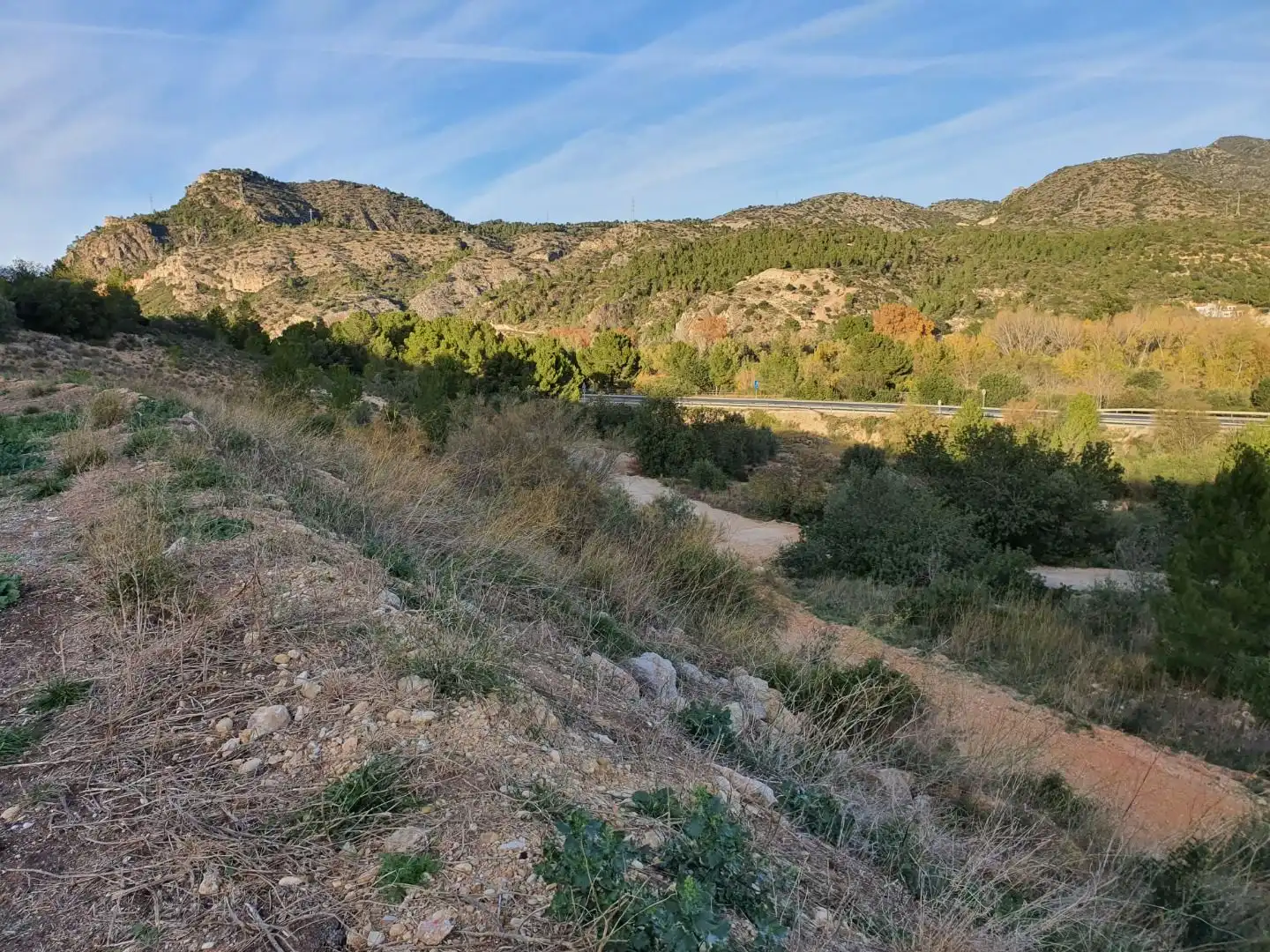 Terrain résidentiel à vendre à Xerta, imagen 10