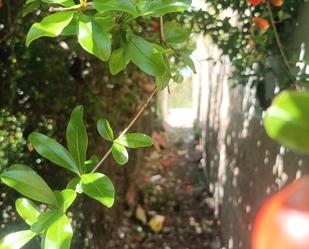 Vista exterior de Finca rústica en venda en  Murcia Capital amb Jardí privat