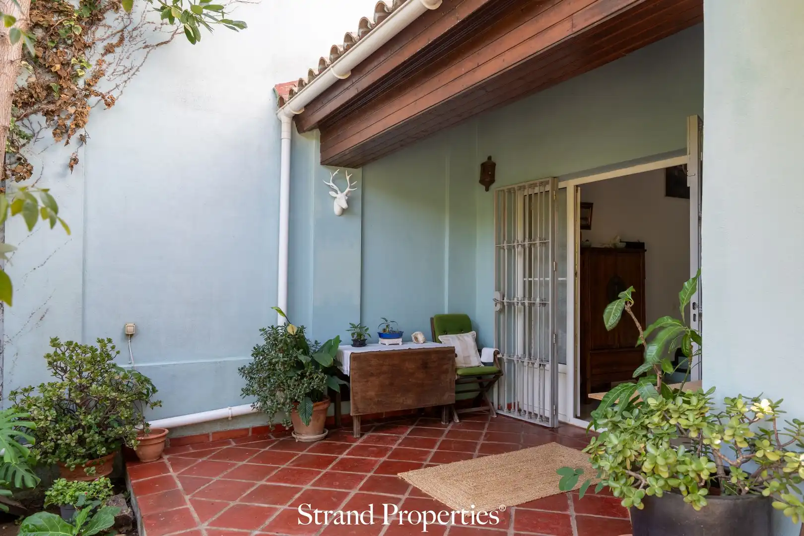 Casa con terraza en venta en San Pedro de Alcántara, imagen 4