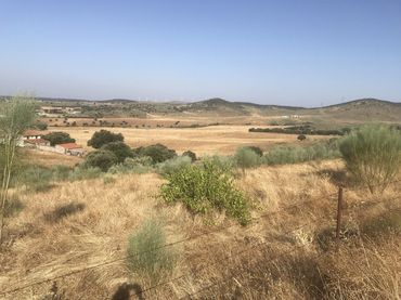 Terreno rustico in vendita a Malpartida de Plasencia