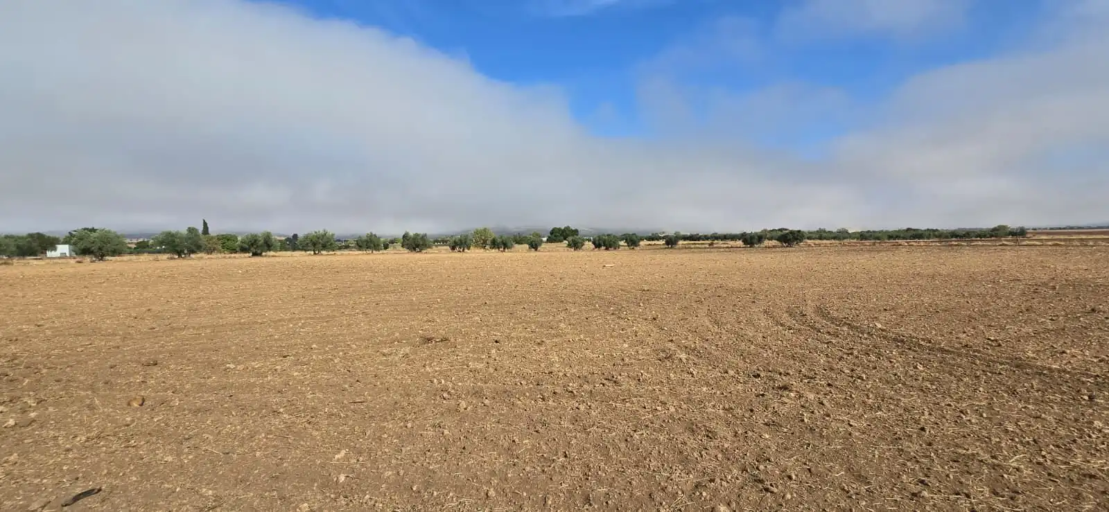 Country homes for sale in Villamayor de Calatrava