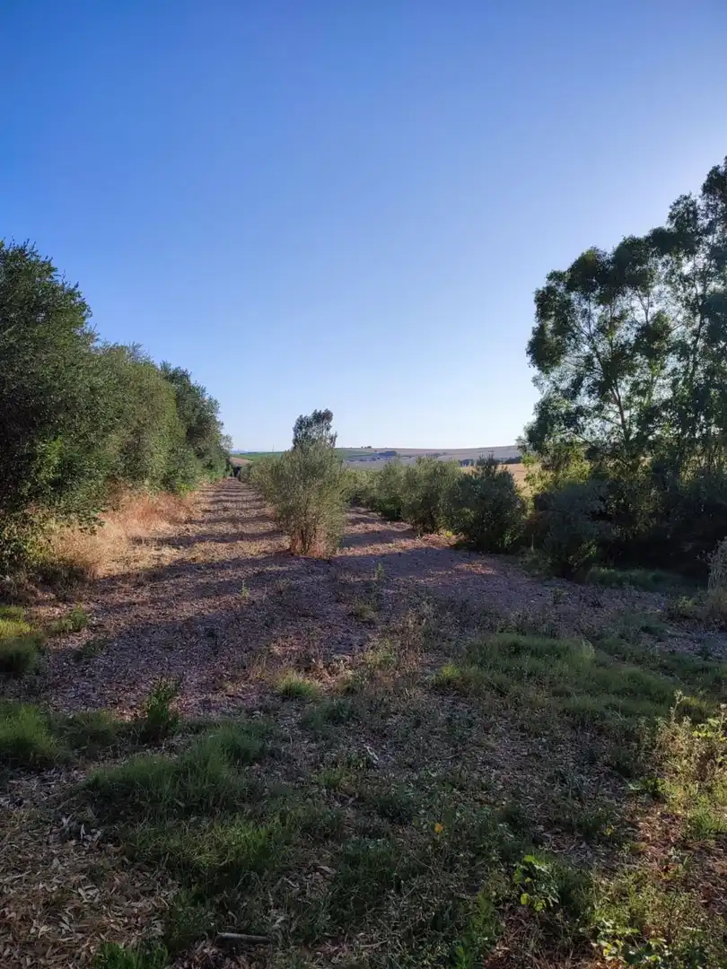 Terreno residencial en venta en Arcos de la Frontera, imagen 20