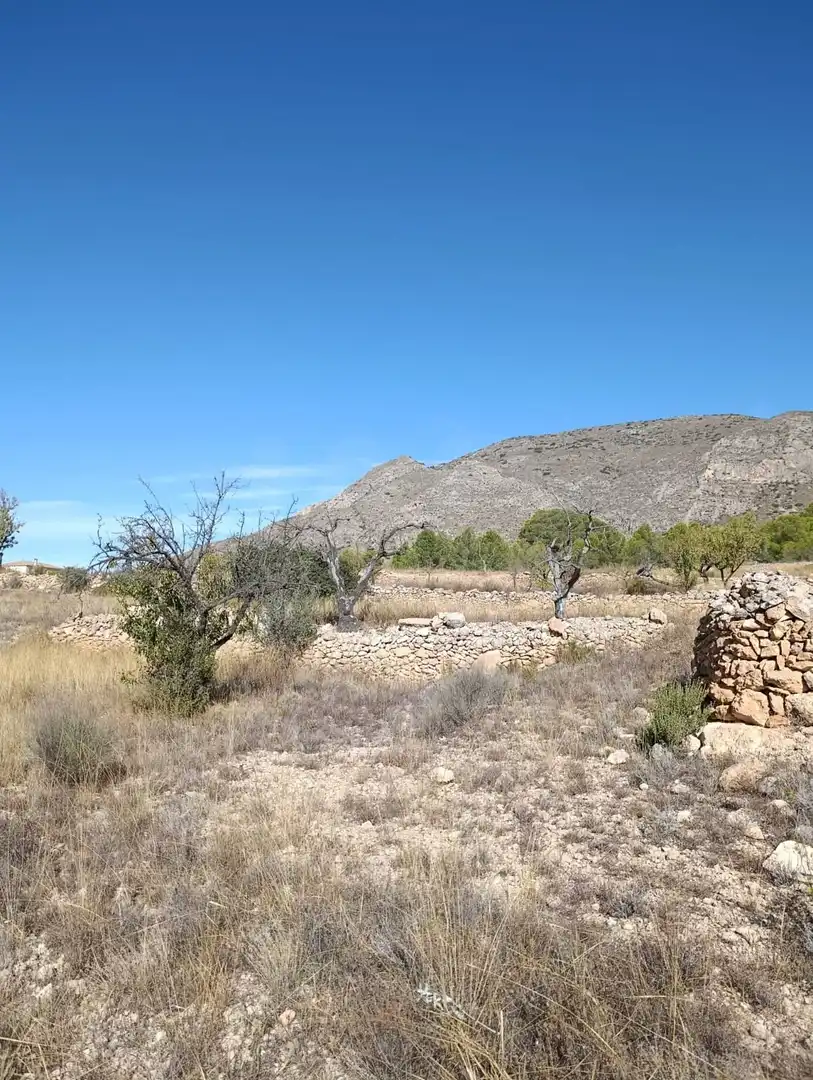 Terreno rustico in vendita a Hondón de las Nieves / El Fondó de les Neus, imagen 18