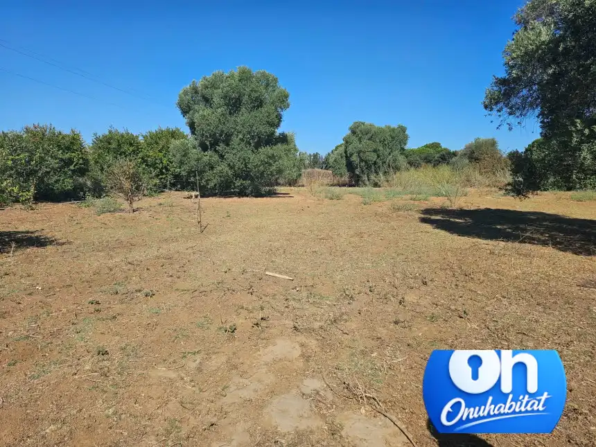 Terrenos y solares en venta en Gibraleón, imagen 20