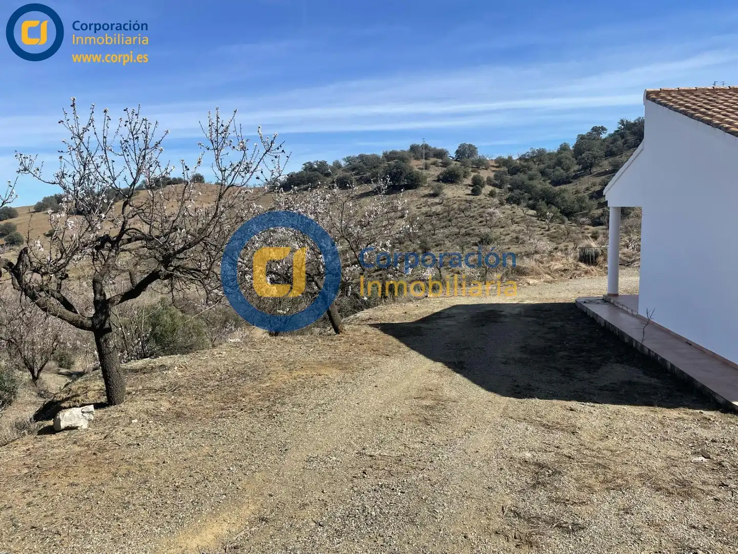 Casa o chalet en venta en Lorca