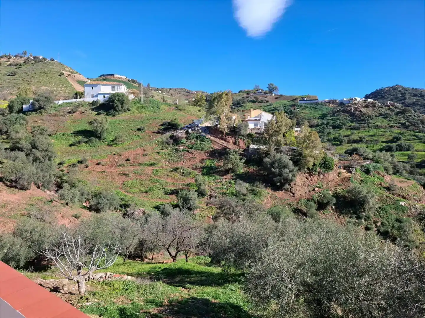 Finca rústica en venda en Almogía