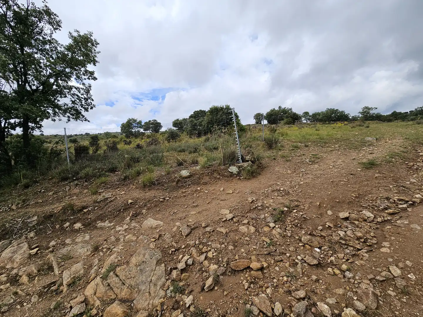 Terreny rústic en venda a Lozoyuela-navas-sieteiglesias, imagen 10