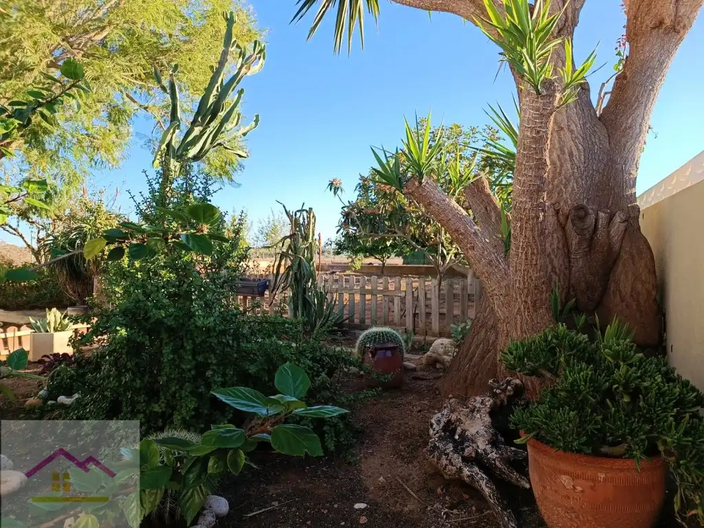 Finca rústica en venda a Calle Poligono 13, Torreblanca