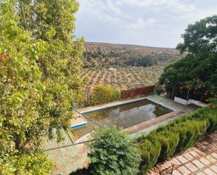 Garden of Land for sale in Montoro