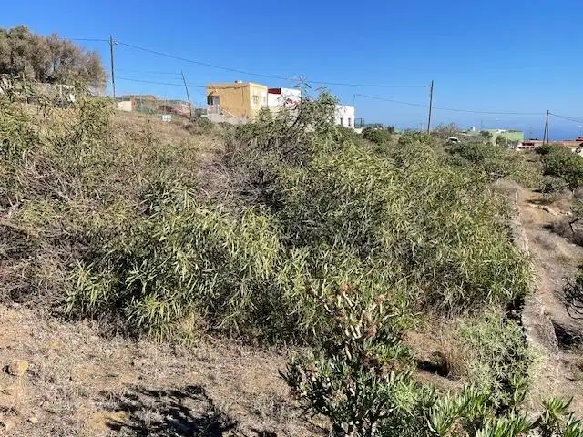 Land for sale in Telde