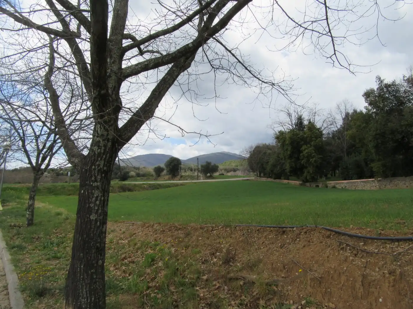 Residential for sale in Fogars de Montclús