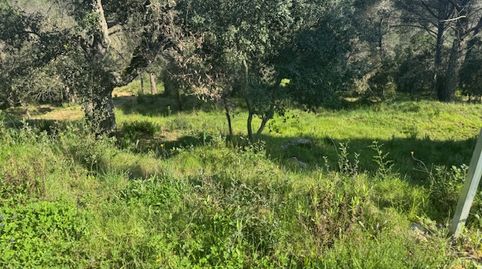 Foto 4 de Residencial en venda a Ferrers, Niàgara Parc - Ágora Parc, Tordera