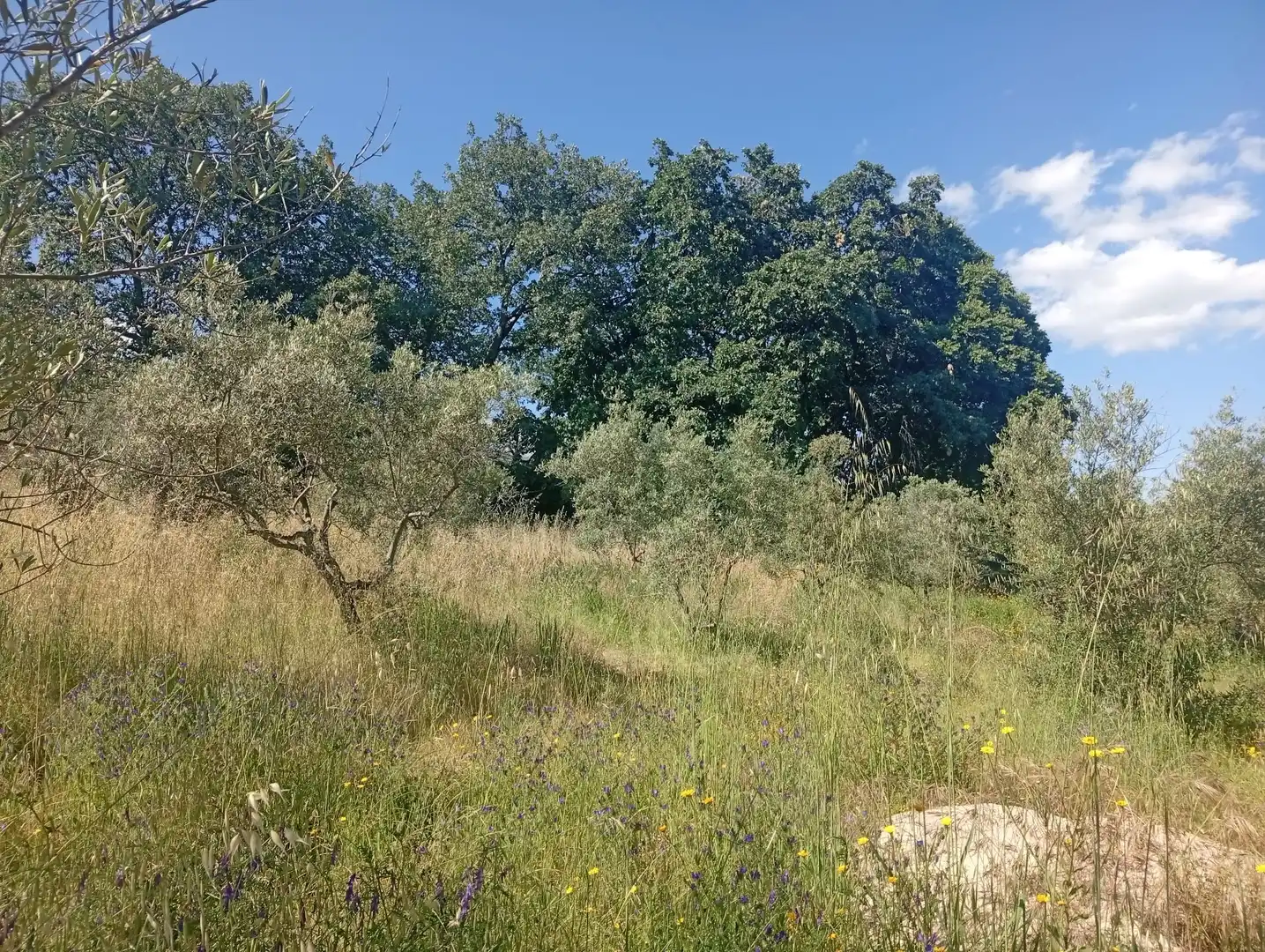 Maison à vendre à Villanueva de la Vera, imagen 63