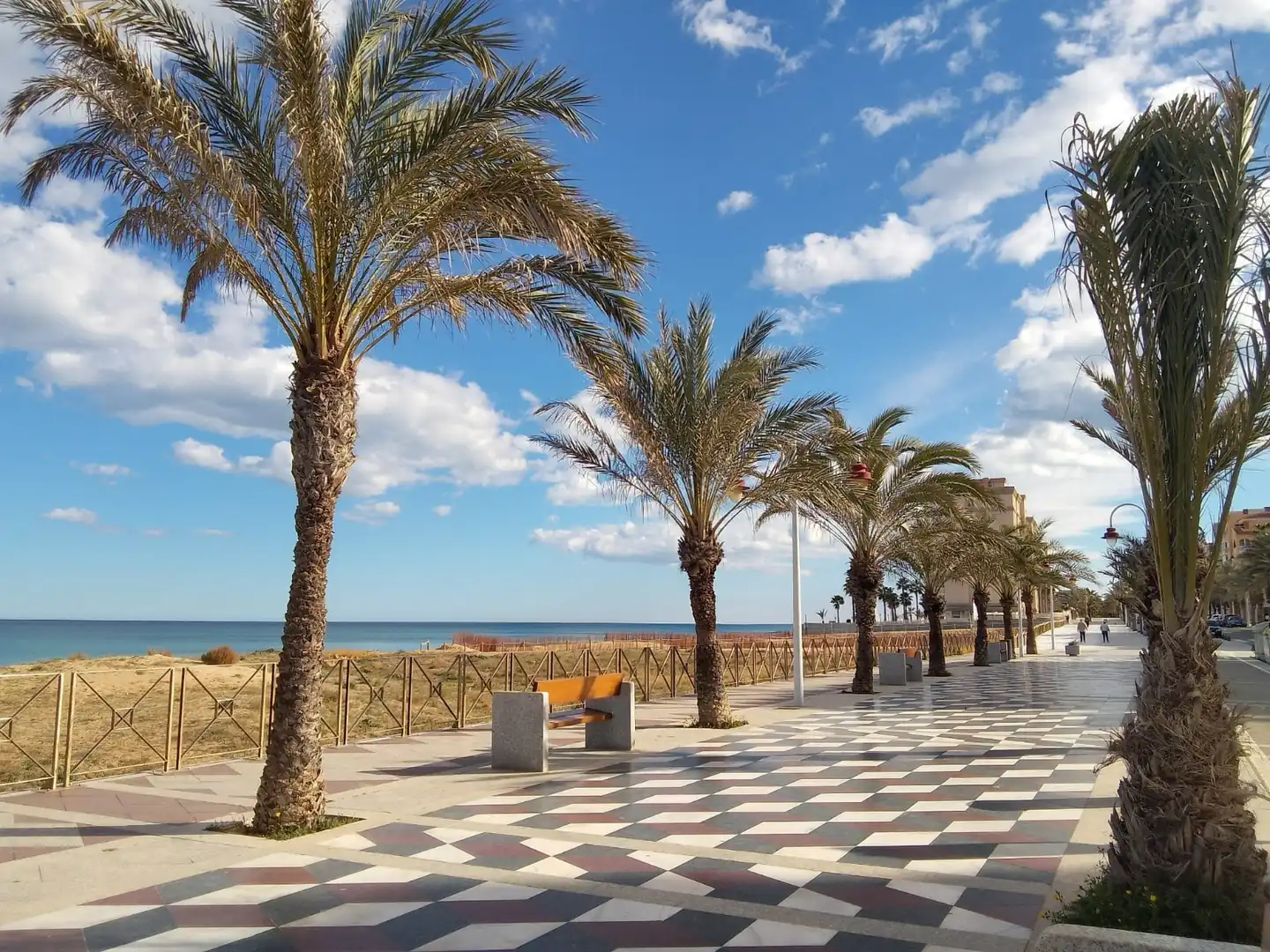 Vista exterior de Local en venta en Elche / Elx con Aire acondicionado