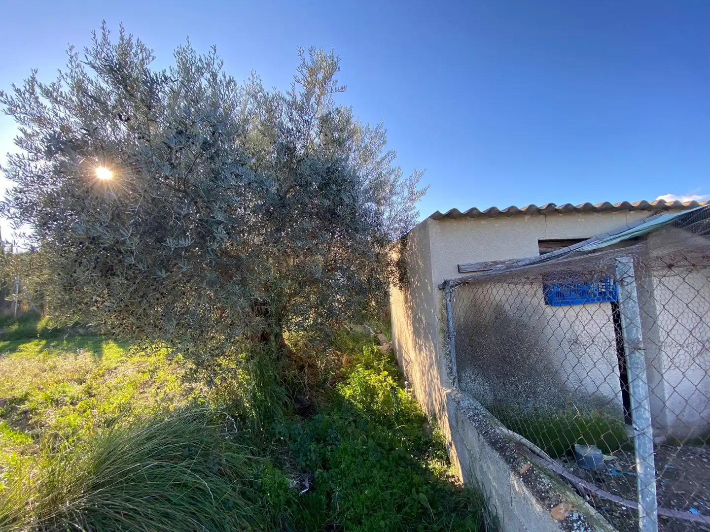 Chalet con piscina en venta en Moratalla, imagen 33