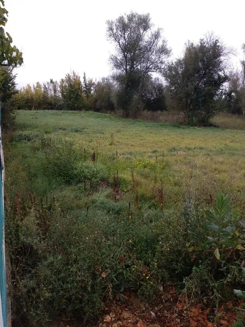 Terreni e lotti in vendita a Ruta Jacobea 69, imagen 8