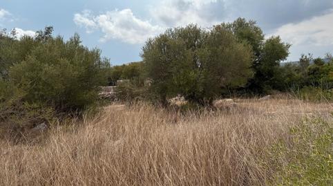 Foto 2 de Terreno en venta en Carrer de Sant Llorenç del Cardassar, 59, Artà Poble, Illes Balears