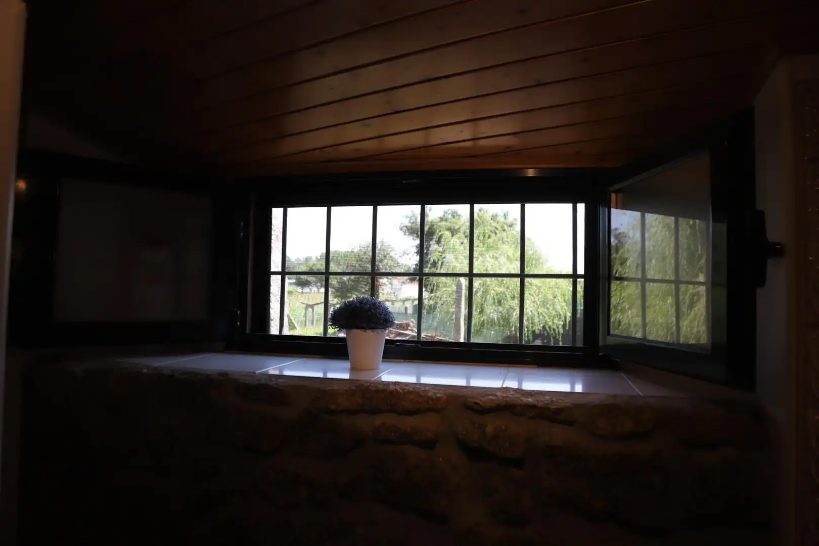 Jardín de Casa o chalet en venta en Portas con Jardín privado, Terraza y Trastero