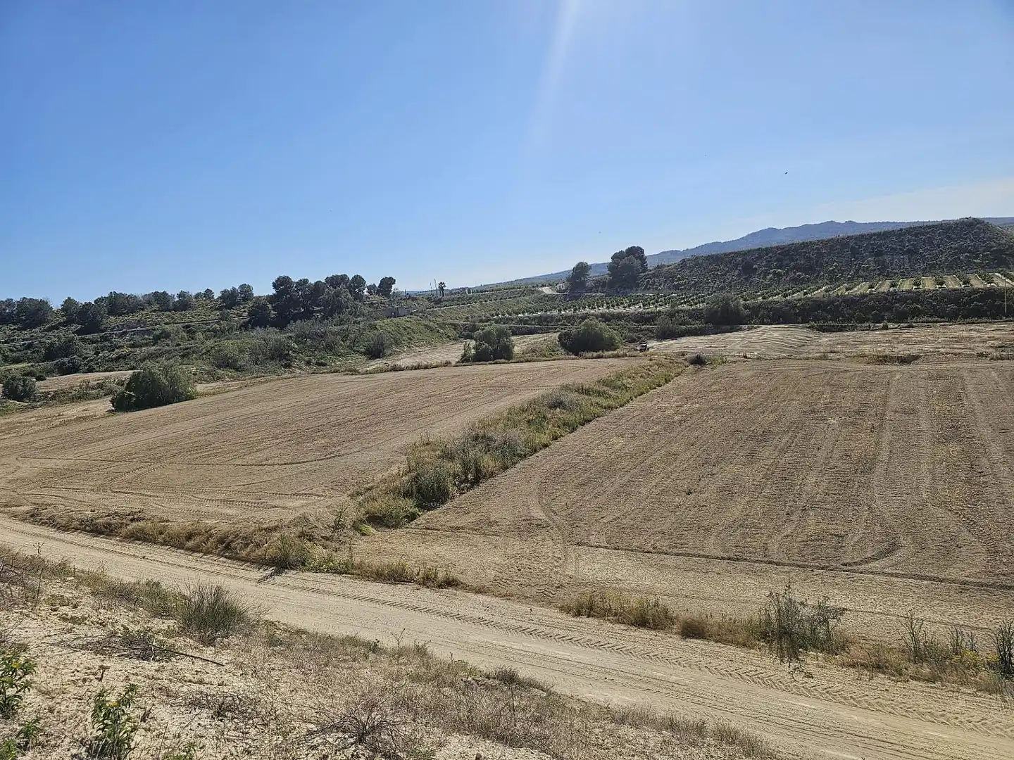 Terreno rústico en venta en Desamparados - Hurchillo - Torremendo, imagen 8
