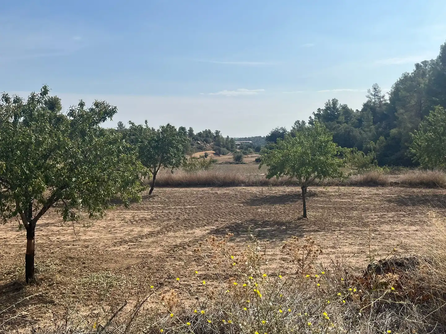 Terreno en venta en Valjunquera