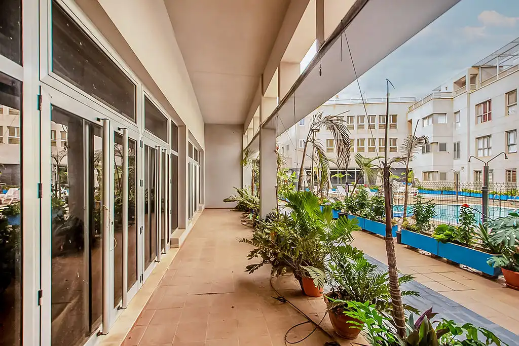 Terrace of Commercial properties for rent in Gáldar