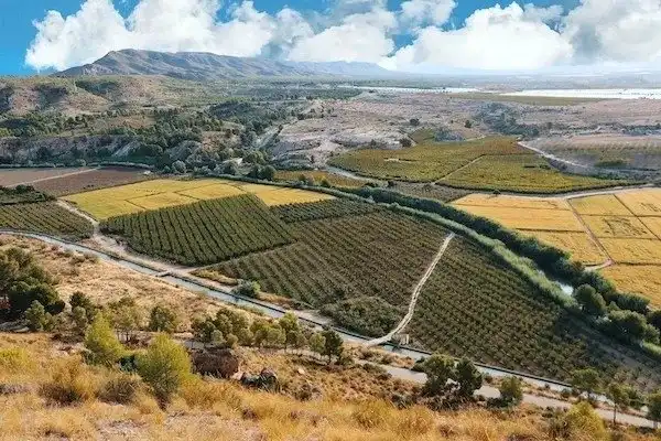 Casa o xalet en venda a Calasparra