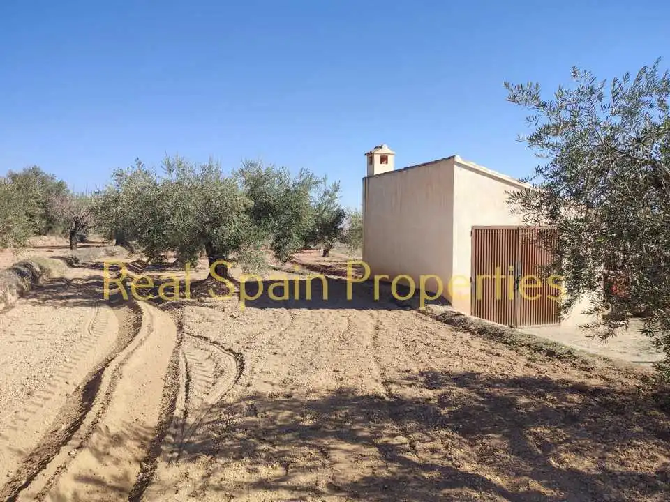 Residential land for sale in Vélez-Rubio, imagen 5