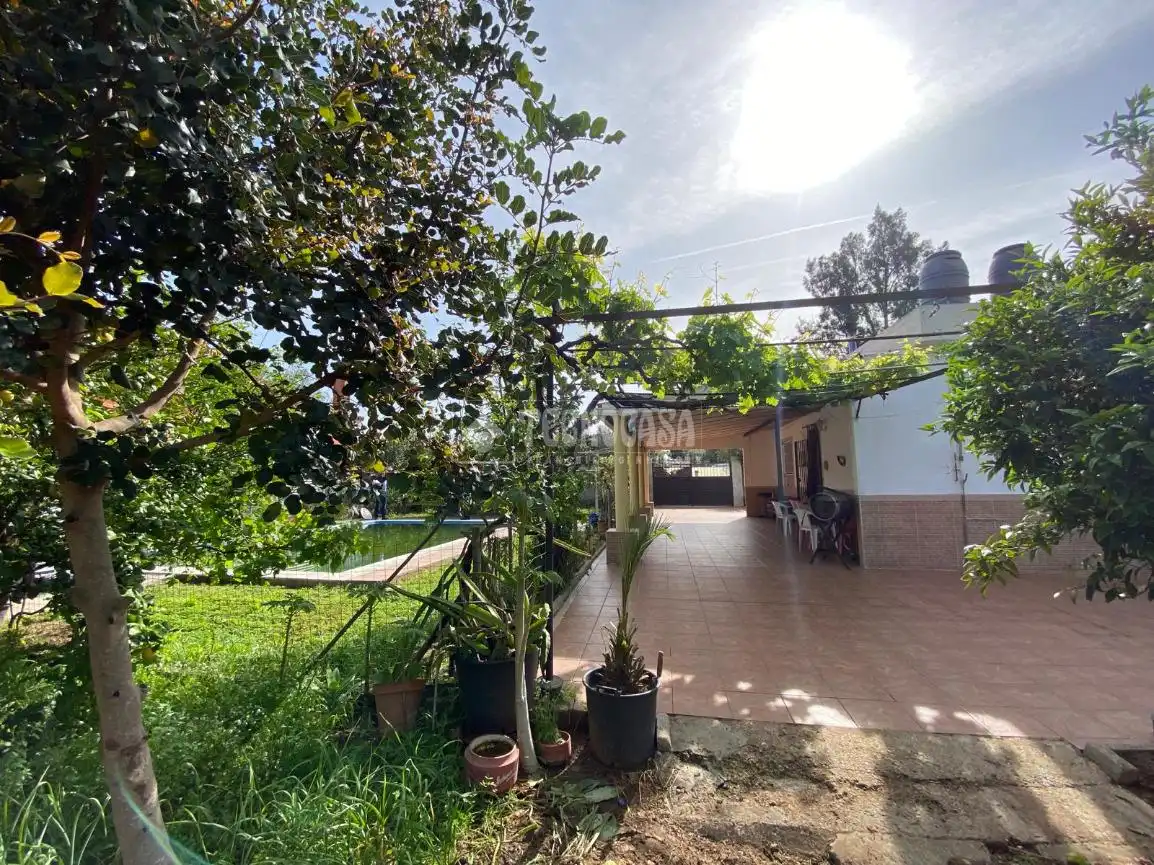 Finca rústica en venda a Los Palacios y Villafranca