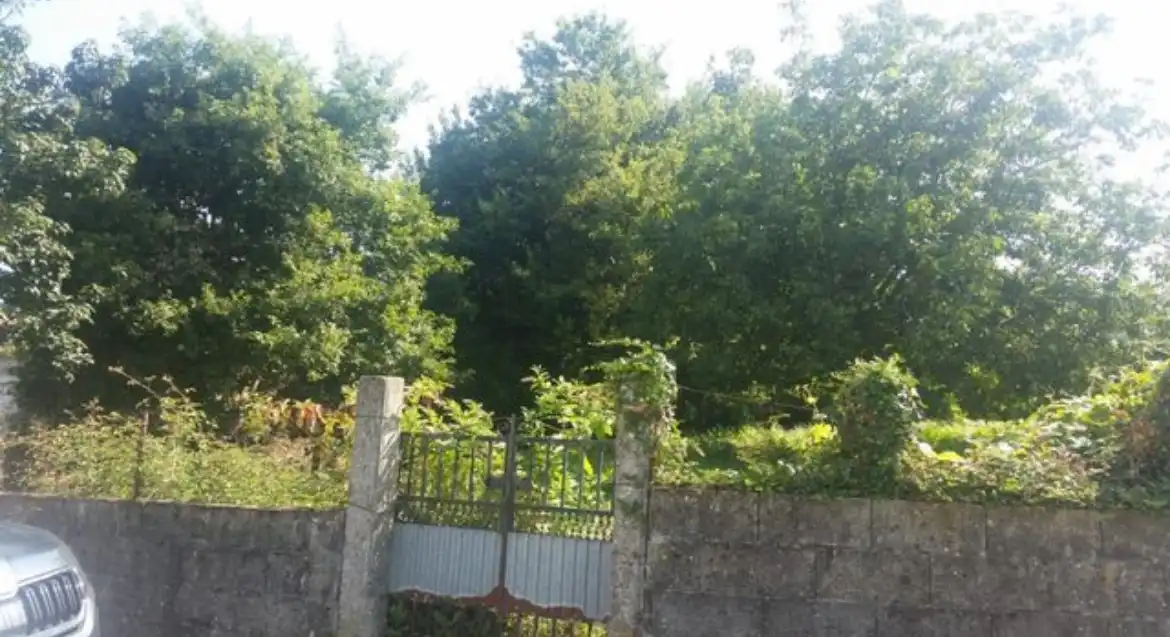 Terrenos y solares en venta en Sobradelo, imagen 6