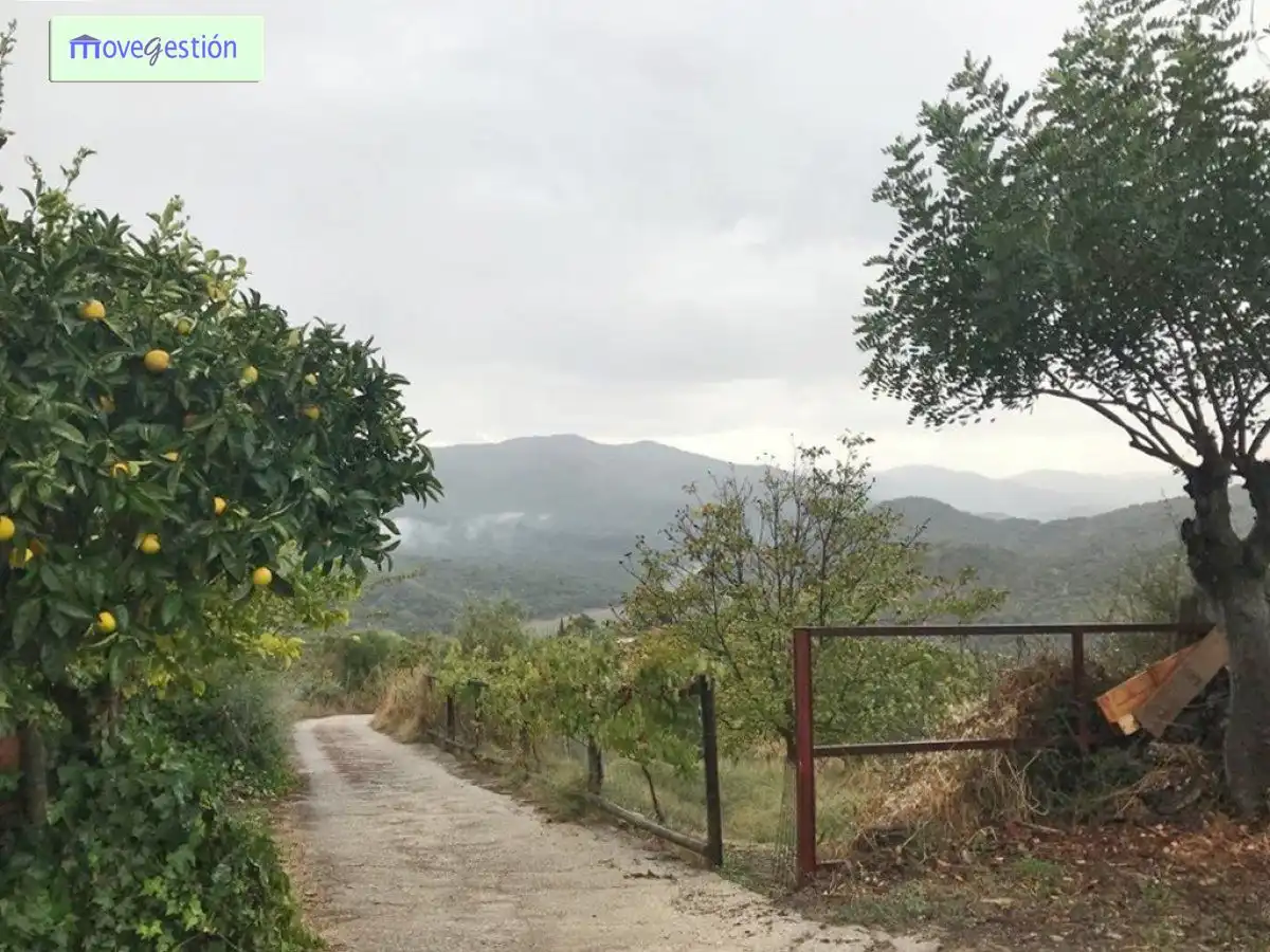 Casa o xalet en venda en Ubrique amb Terrassa, Piscina i Moblat