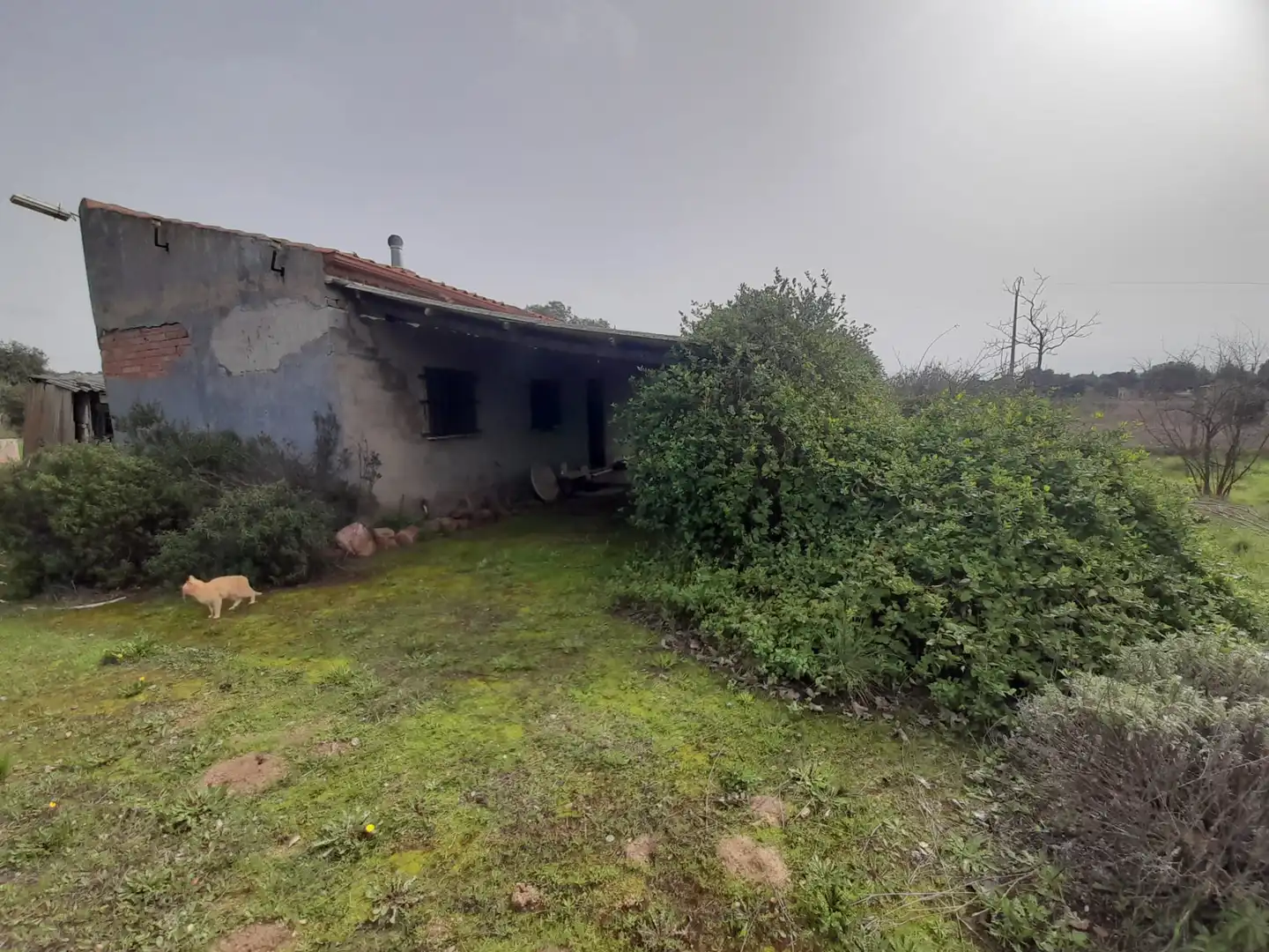 Finca rústica en venta en Brazatortas con Trastero y Piscina