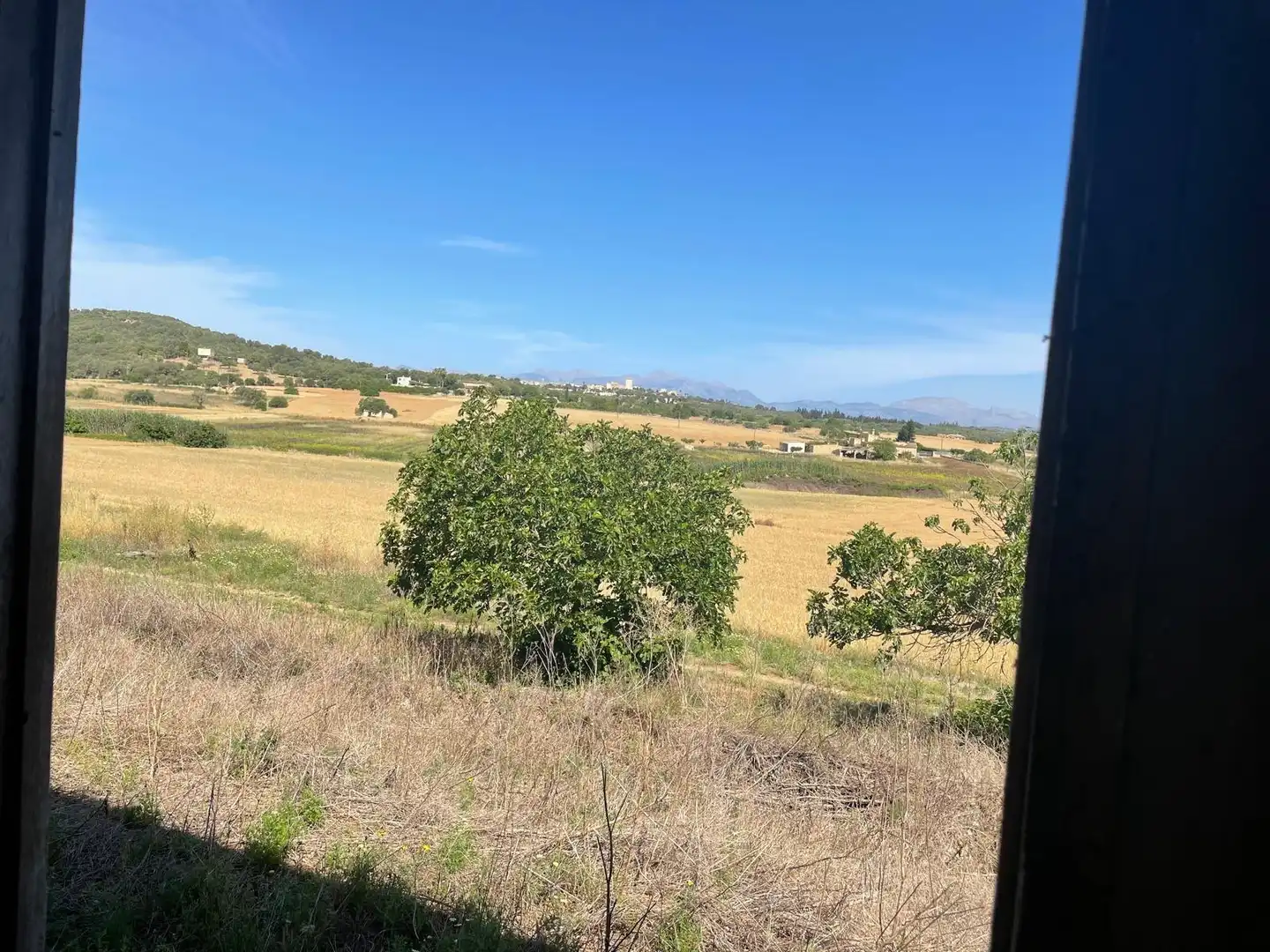 Finca rústica en venta en Ariany con Jardín privado
