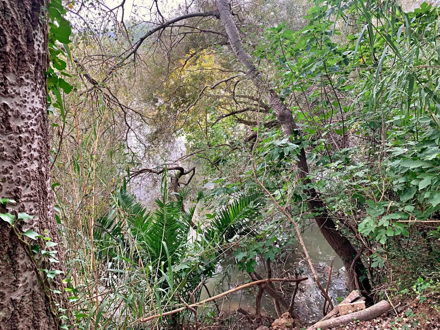 Vista exterior de Finca rústica en venda en Tortosa